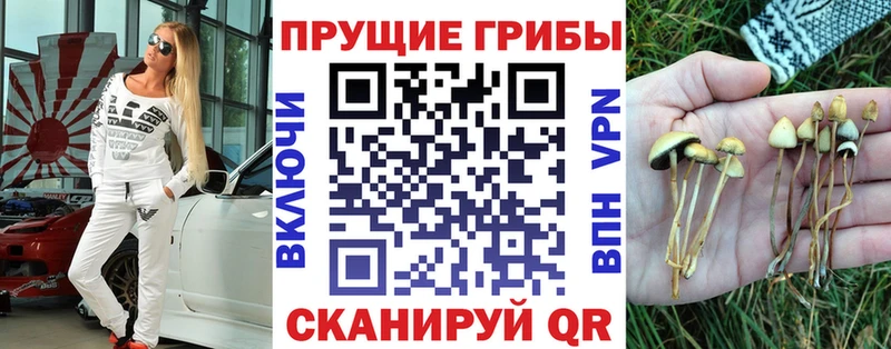 Галлюциногенные грибы GOLDEN TEACHER  Медногорск 